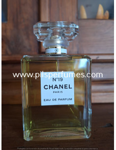 Chanel No 19 Eau de Parfum Chanel 100 ml Vaporizador eau de parfum imagen real