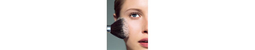 maquillaje en polvo